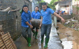 Hàng nghìn thanh niên tình nguyện giúp dân sau mưa lũ miền Bắc