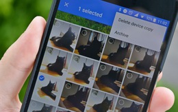 Google Photos có thể nhận diện thú cưng của bạn