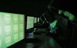Việt Nam lọt top 10 quốc gia có lượng website bị tấn công nhiều nhất