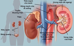 Các biện pháp phòng ngừa suy giảm chức năng thận