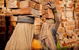 ILO: Hơn 40 triệu người trên thế giới đang có cuộc sống nô lệ