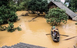 Bộ Tài chính cảnh báo việc lợi dụng bão lụt để nâng giá hàng thiết yếu