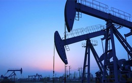 EIA hạ dự báo triển vọng giá dầu và nhu cầu năng lượng toàn cầu