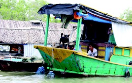 Khám phá thành phố từ hướng sông