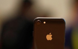 Cổ phiếu Apple mất giá 2,5% do doanh số bán iPhone 8 thấp