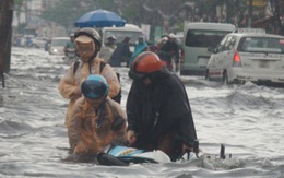 ‘Hai con còn không nuôi nổi nói gì đến ba con’