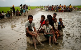 Dòng người Rohingya chạy sang biên giới Bangladesh vẫn tiếp tục kéo dài nhiều km