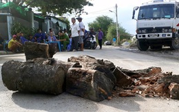 Dân mang gỗ, chậu bông chắn đường ngăn xe tải