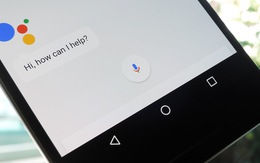 Google Assistant sắp trở thành phiên dịch viên thực thụ