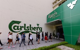 Nhà máy bia Carlsberg Việt Nam - điểm trốn nắng hoàn hảo cho mùa hè xứ Huế