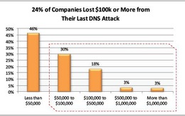 Nhiều doanh nghiệp điêu đứng trước các cuộc tấn công DNS