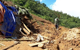 Quảng Nam phân bổ 500 tấn gạo cho dân bị thiệt hại bão lũ
