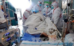 Trung Quốc phát hiện người nhiễm cúm gia cầm