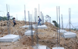 Nhiều dự án ở núi Sơn Trà được cấp đất ở đô thị