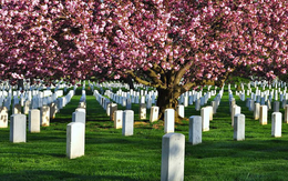 Những nghĩa trang nên đến thăm... trước khi chết!