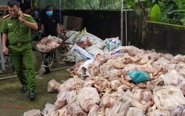 Đà Nẵng tiêu hủy 15 tấn thịt và nội tạng siêu bẩn