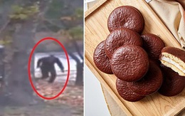 Đằng sau việc anh lính Triều Tiên đào tẩu xin bánh Choco Pie