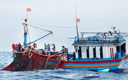 Ngư dân bỏ tiền 'mua biển' và án phạt 'thẻ vàng' từ EU