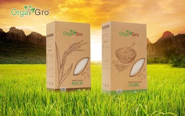 Chuyện về hạt gạo hữu cơ Orgagro