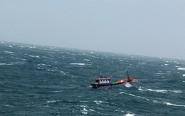 Vượt gió bão Kai-Tak, cứu được sáu ngư dân