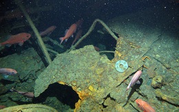 Úc tìm thấy chiếc tàu ngầm đầu tiên mất tích sau 103 năm