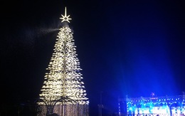 Cây thông cao nhất Việt Nam bừng sáng dịp Noel