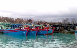 Huyện Trường Sa đón 128 tàu và 1.500 ngư dân tránh bão số 11