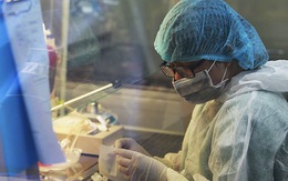 Việt Nam ghép tế bào gốc chữa chứng xơ phổi ở trẻ sinh non