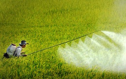 Thêm 79 hoạt chất thuốc bảo vệ thực vật được phép sử dụng tại Việt Nam