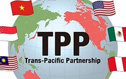 TPP-11 có thể được quyết định ngay ở Đà Nẵng