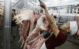 Doanh nghiệp dọa rút nhà máy nếu cho lò thủ công hoạt động