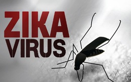 Vĩnh Long phát hiện ca nhiễm virus Zika đầu tiên