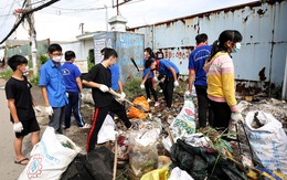 Thay phạt tiền bằng phạt dọn rác