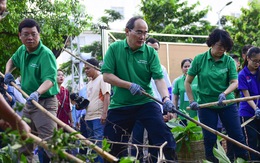 Bí thư Thành ủy ra quân làm sạch kênh Rạch Lăng