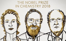 Nobel Hóa học 2018: 'Cuộc cách mạng của tiến hóa'