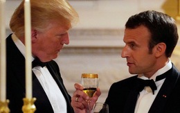Ông Trump đến Paris “tránh nóng”, không gặp ông Putin