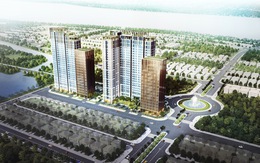 DKRA VIETNAM phân phối độc quyền dự án CitiAlto