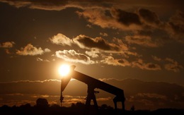 Giá dầu chạm đáy thảm hại trong 3 năm qua
