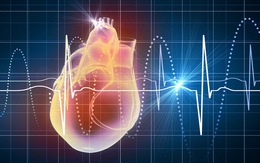 Điện giải và rối loạn nhịp tim