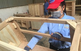 Doanh nghiệp gỗ Trung Quốc tràn sang, cảnh báo nguy cơ lẩn tránh thuế