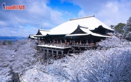 Ưu đãi 5 triệu đồng tour mùa đông Nhật Bản