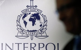 Mỹ ủng hộ quyền chủ tịch Interpol, không muốn ứng viên Nga