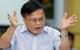 Ông Nguyễn Đình Cung: Chưa thể thay thế doanh nghiệp nhà nước