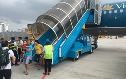 Vietnam Airlines vận chuyển đào, mai dịp Tết Canh Tý giá 495 ngàn/bó