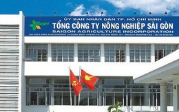 Nâng mức kỷ luật kế toán trưởng SAGRI