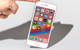 Apple bán iPhone 8 hàng tân trang, giá 500 USD