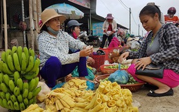 Chuyện lạ của người Tà Ôi - kỳ 3: Những nhà buôn năng động