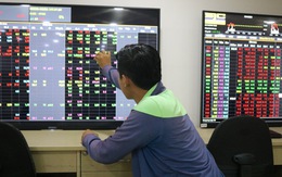 Cổ phiếu Vingroup tăng mạnh sau khi tập đoàn Hàn Quốc chi 1 tỉ USD mua cổ phần