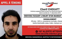 Cảnh sát Pháp tiêu diệt nghi phạm nổ súng ở Strasbourg