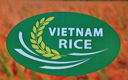 Công bố chính thức logo thương hiệu Gạo Việt Nam